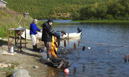Notfiskekurs