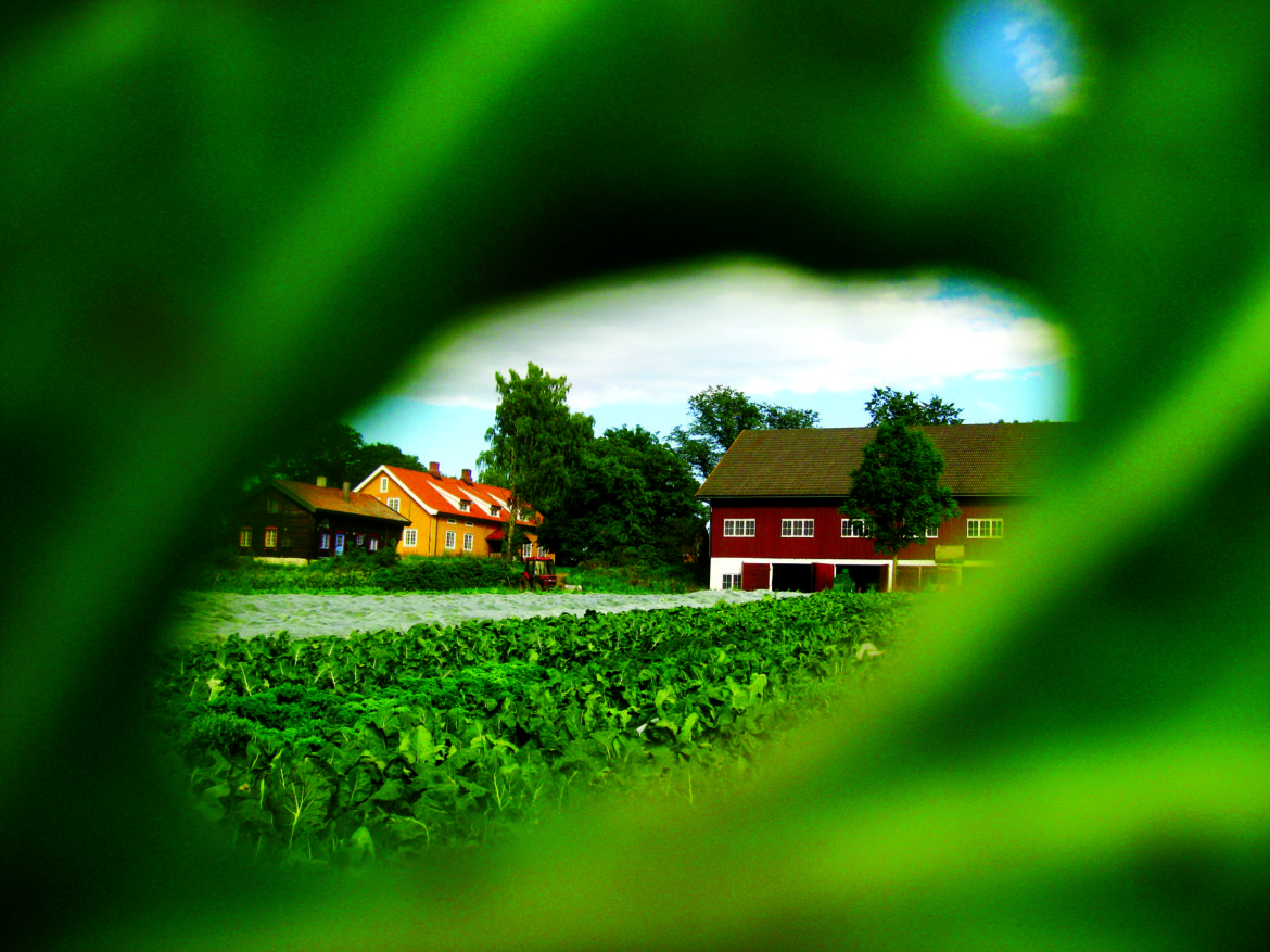 AlmOstre_hus-1