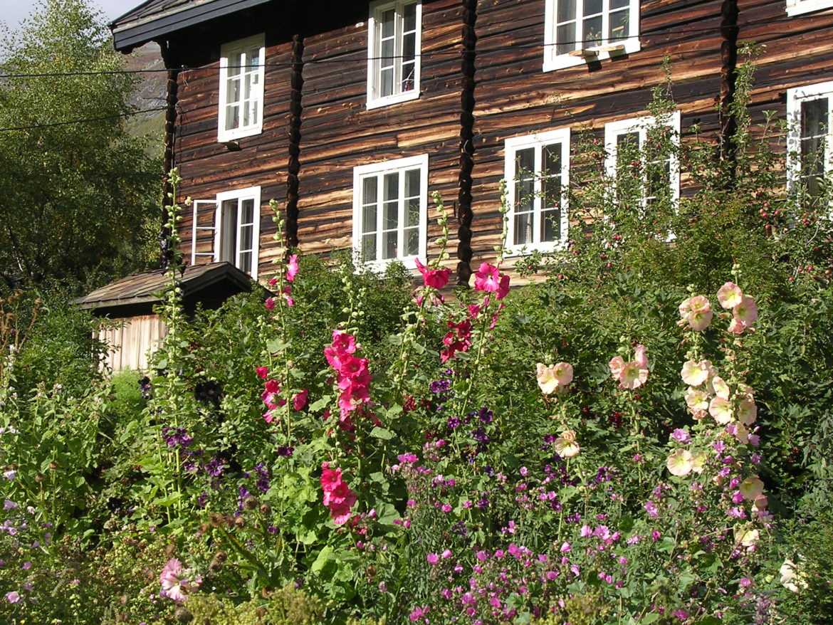 Haust2004-005