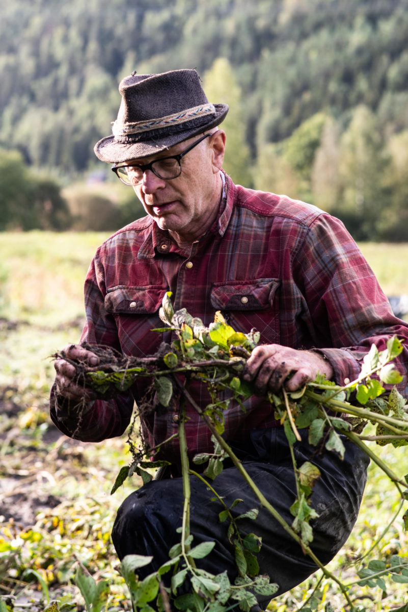 Finn fulgte drømmen sin og dro fra Oslo på 1970-tallet for å jobbe på biodynamisk gård.