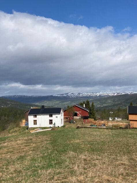 Gårdsbygninger i naturen