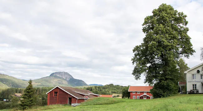 Gårdsområde i grønt landskap.