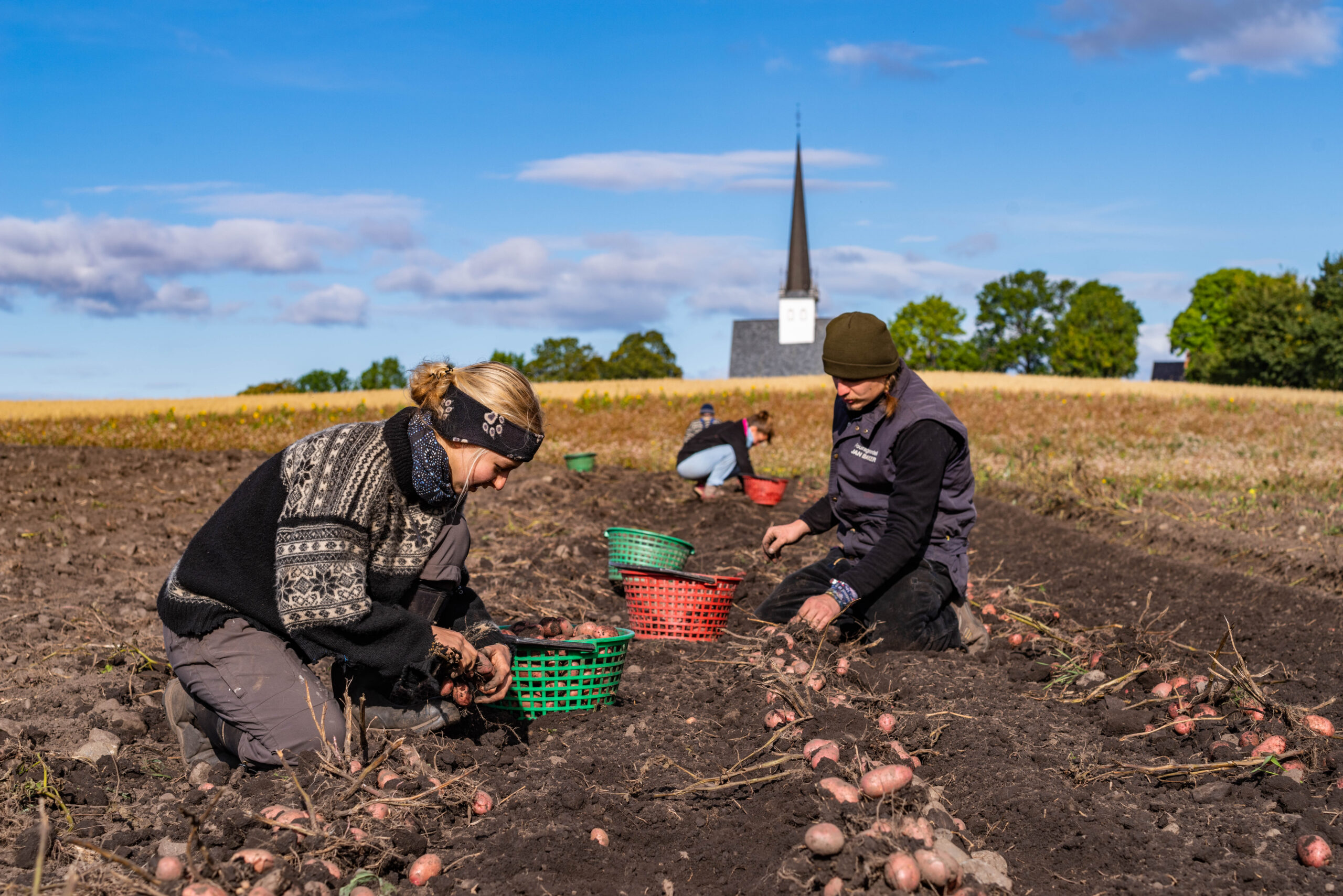 Alm Gård